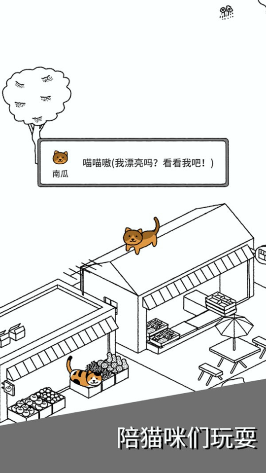 猫咪真的超可爱截图4