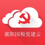 襄阳国税党建云