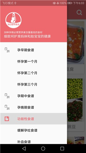 儿童营养食谱截图5