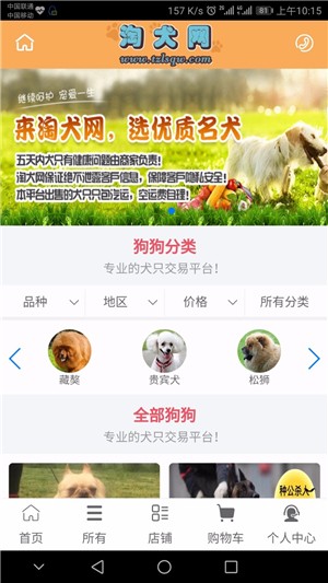 淘犬网截图1