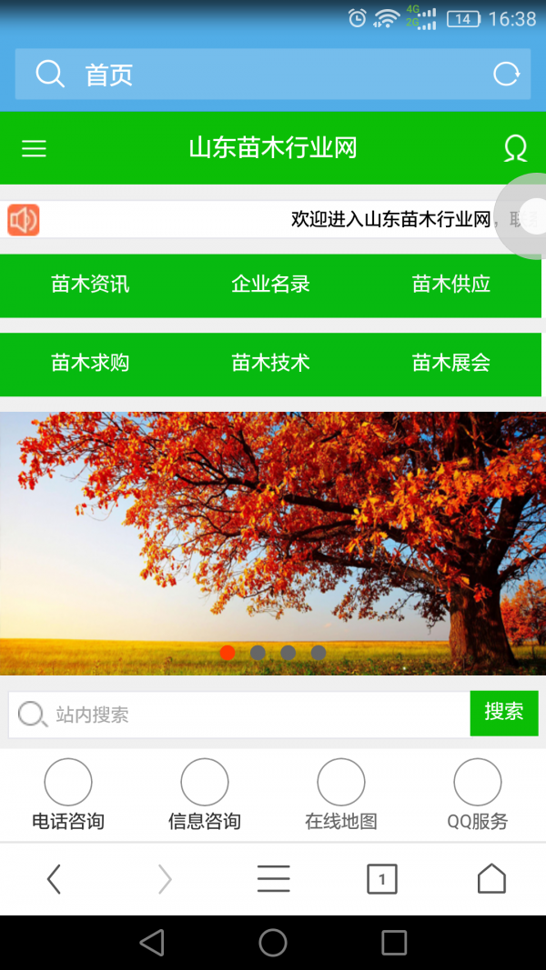 山东苗木行业网截图2