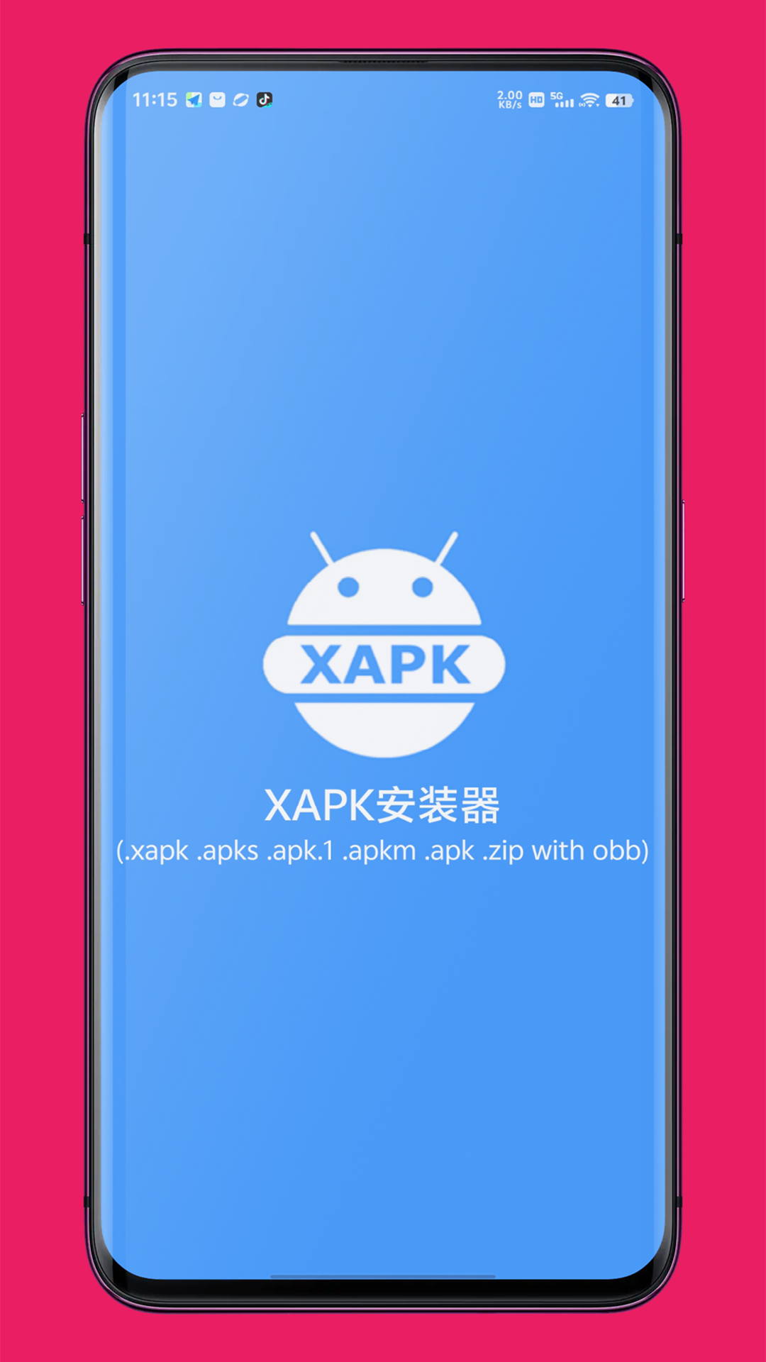 xapk安装器截图1