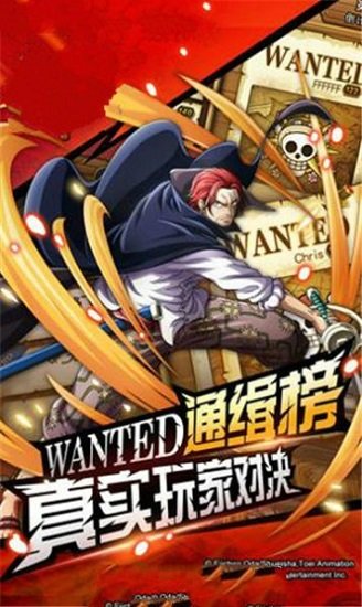 海贼王最终之战截图3