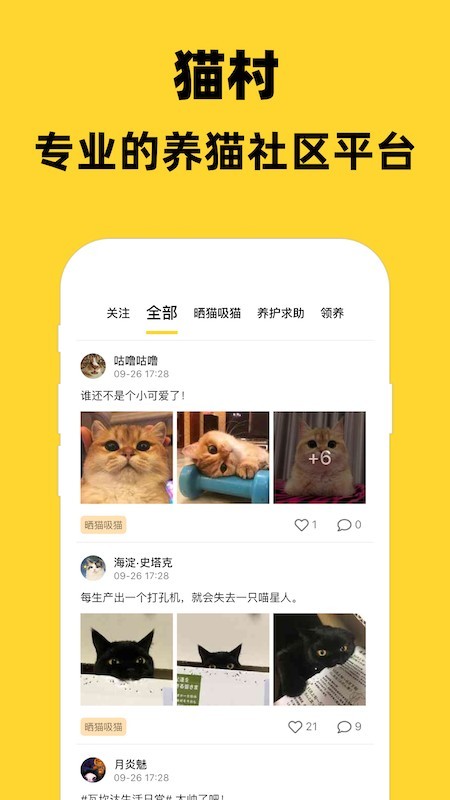 猫村截图3