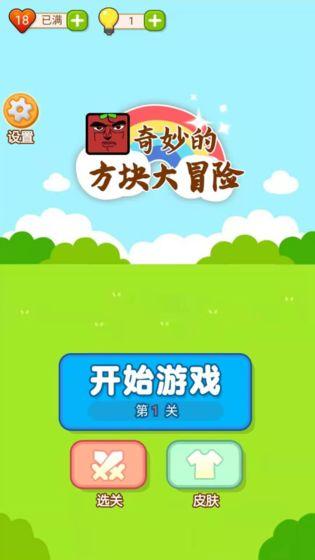 奇妙的方块大冒险截图1