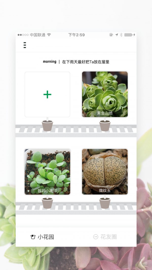 奇妙植物截图1