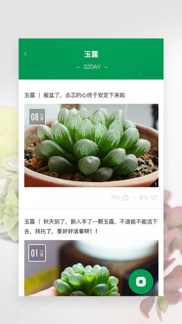 奇妙植物截图3