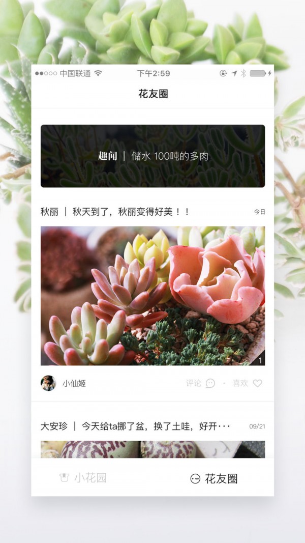 奇妙植物截图2