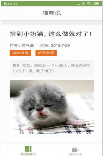 猫咪生活圈截图1