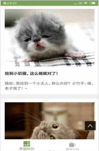 猫咪生活圈截图3