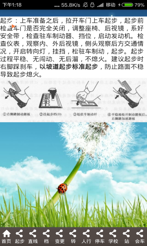 驾考科目二通关宝典截图3