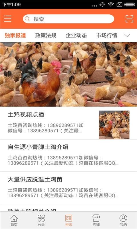 土鸡苗截图1