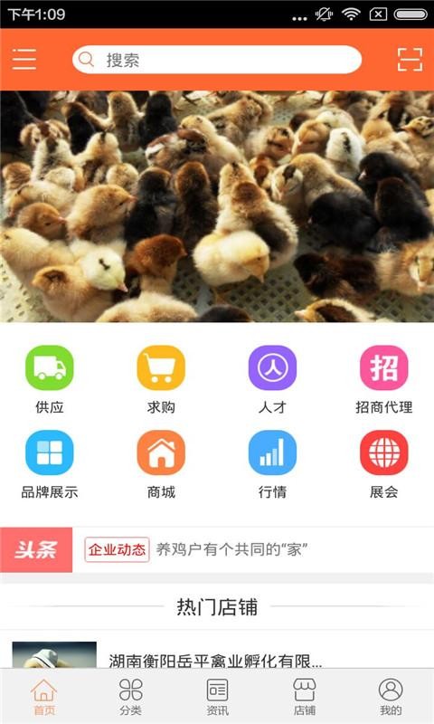 土鸡苗截图3