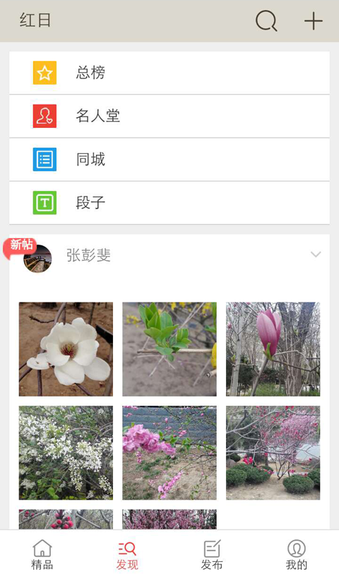 红日博客截图4