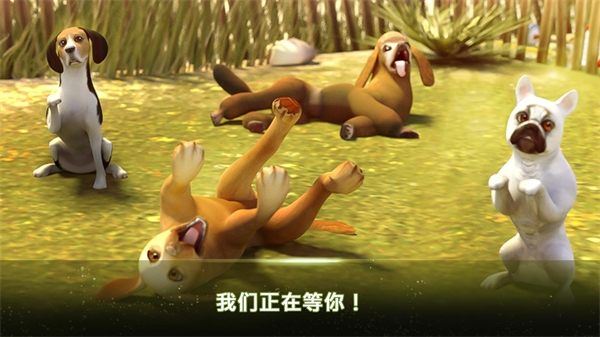 我的寄宿狗屋完整版截图5