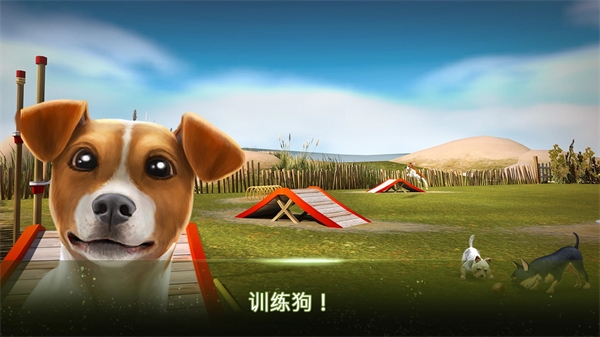 我的寄宿狗屋完整版截图1