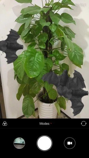 蝙蝠在手机飞行截图1