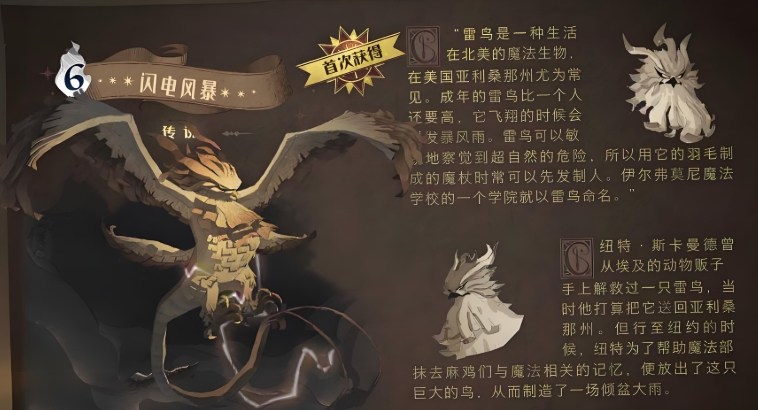 哈利波特魔法觉醒禁林赫敏卡组有什么