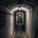 掩埋buried