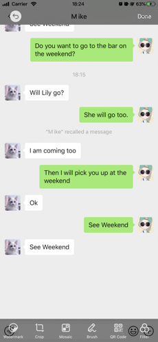 绿叶双开分身截图3