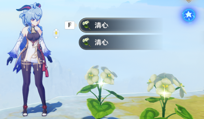 原神清心分布在哪里