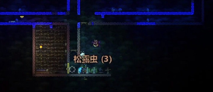 泰拉瑞亚松露虫在哪抓