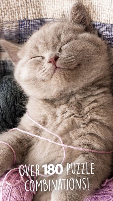 拼图神奇小猫截图2