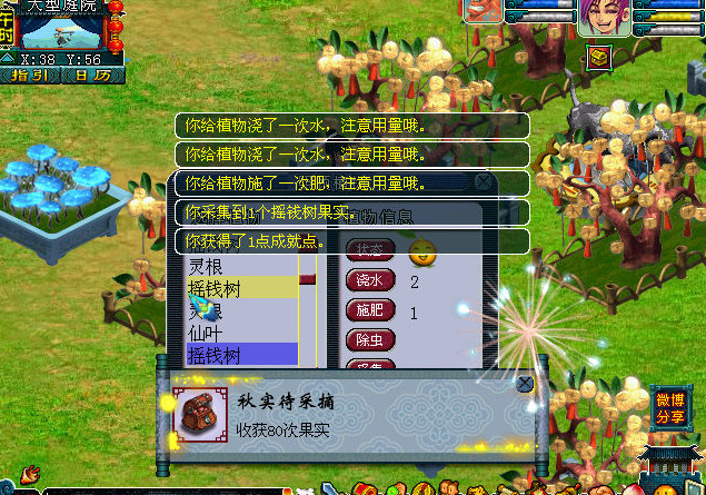 梦幻西游四级种子如何得到