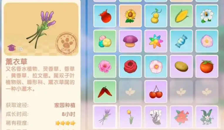 摩尔庄园怎么赚金币更快