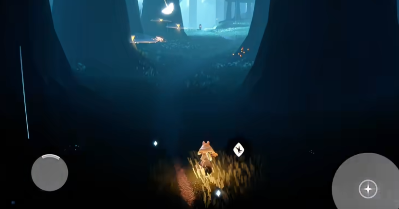 光遇里的雨林怎么玩