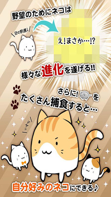 这是猫咪吗截图3