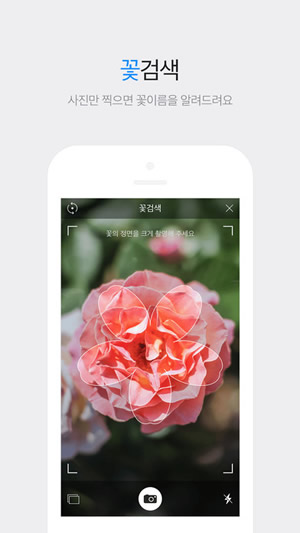 daum搜索截图2