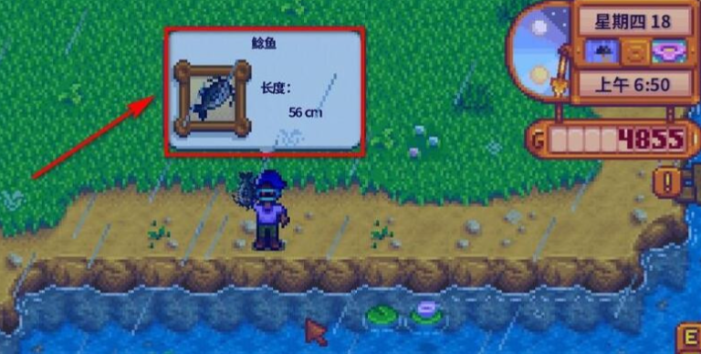 星露谷物语夏天雨天有什么特殊鱼